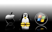 /album/seguridad-informatica-/a01-jpg/